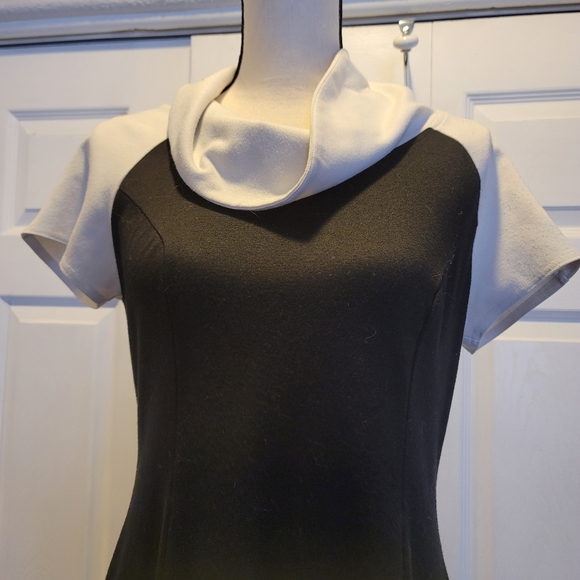Knit Cowell Neck Dress - Picture 2 of 5